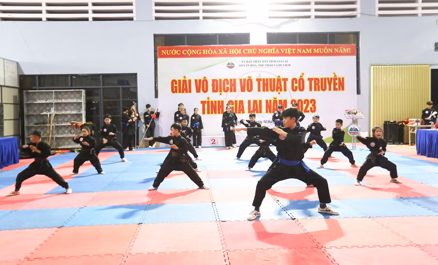 Giải Võ thuật cổ truyền toàn tỉnh năm 2023 thu hút gần 200 VĐV tham gia. Ảnh: L.V.N