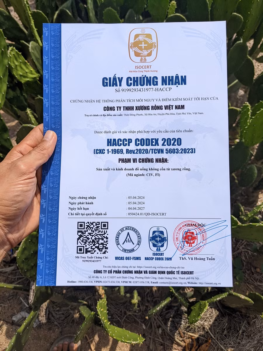 Tháng 4.2024, anh Bảo Huy đã xin giấy chứng nhận cho sản phẩm của mình. Ảnh: PHÚC KHA