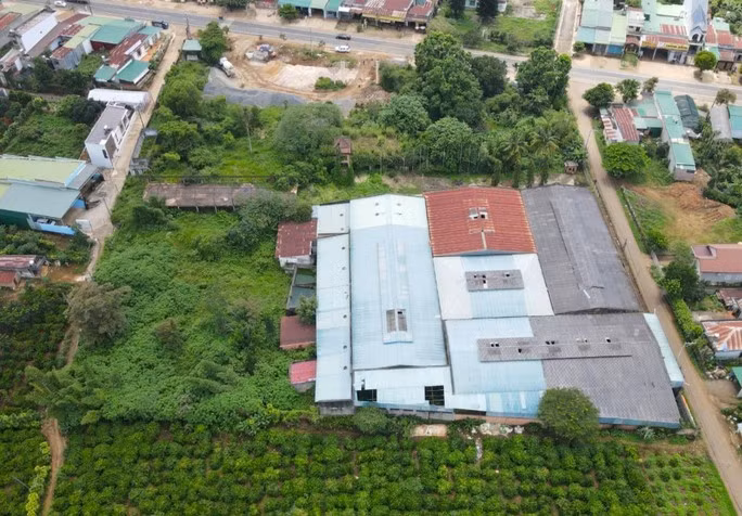 Khu đất dự án Khu thưởng lãm và trưng bày sản phẩm cà phê Trung Nguyên Legend – Lộc An bị đề nghị thu hồi.