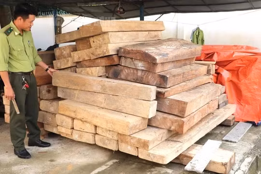 2 đống gỗ được thu giữ từ kho chứa trên đất của ông Võ Văn Ba