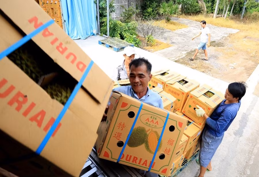 Vận chuyển sầu riêng xuất khẩu đi Trung Quốc tại Vựa trái cây Hùng Loan, 94 QL20, thị trấn Tân Phú, huyện Tân Phú (Đồng Nai). (Ảnh: Hồng Đạt/TTXVN) Vận chuyển sầu riêng xuất khẩu đi Trung Quốc tại Vựa trái cây Hùng Loan, 94 QL20, thị trấn Tân Phú, huyện Tân Phú (Đồng Nai). (Ảnh: Hồng Đạt/TTXVN)