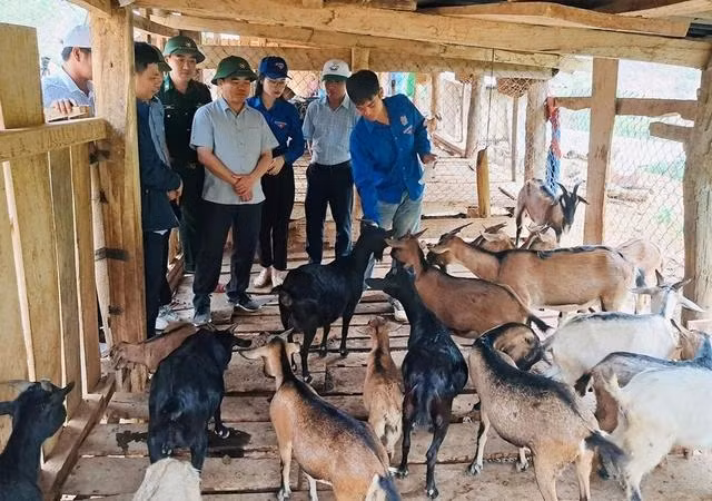 Lãnh đạo H.Kỳ Sơn tham quan mô hình nuôi dê, lợn đen và gà đen của anh Nghĩa. Ảnh CTV