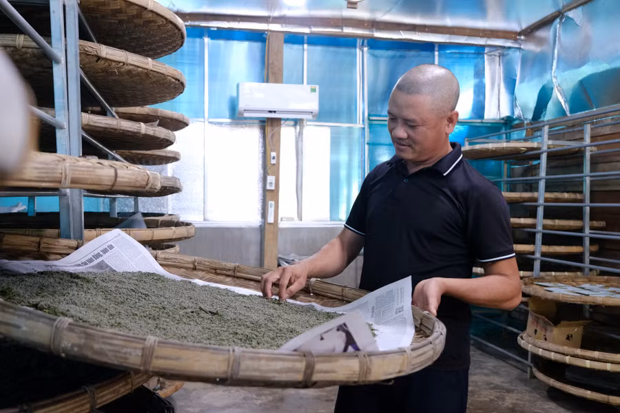 Gia đình anh Phạm Thanh Lâm đang nuôi tằm giống để cung cấp cho thành viên hợp tác xã và một số khu vực lân cận
