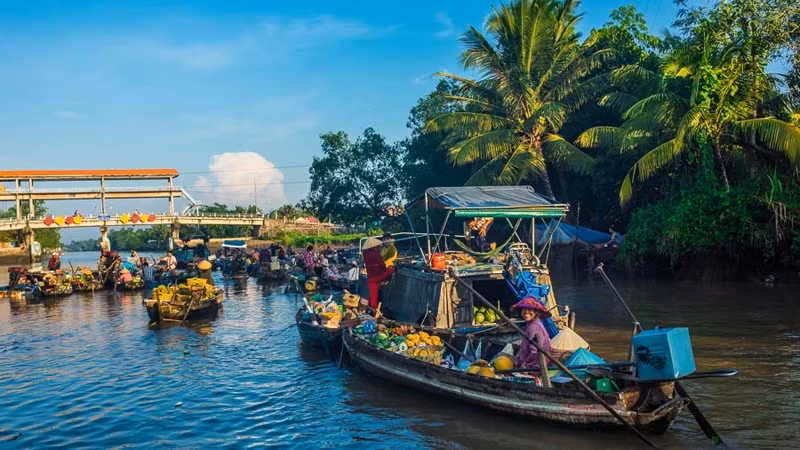 The Travel đánh giá Cần Thơ là một địa điểm tuyệt vời để khám phá vào mùa thu này. (Ảnh: Vietnamtravel)