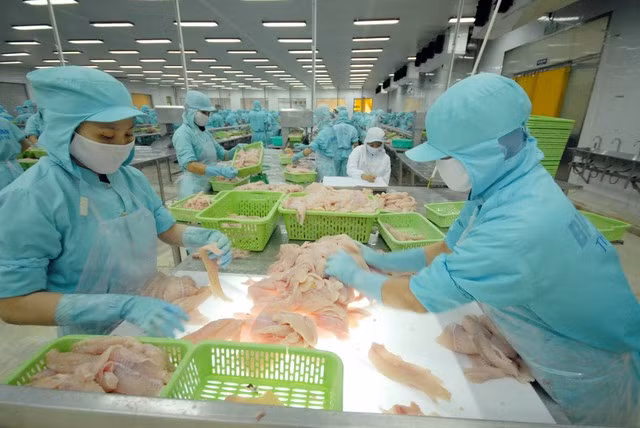 Trung Quốc là thị trường tiềm năng cho xuất khẩu thủy sản của VN. Ảnh: CÔNG HÂN Trung Quốc là thị trường tiềm năng cho xuất khẩu thủy sản của VN. Ảnh: CÔNG HÂN