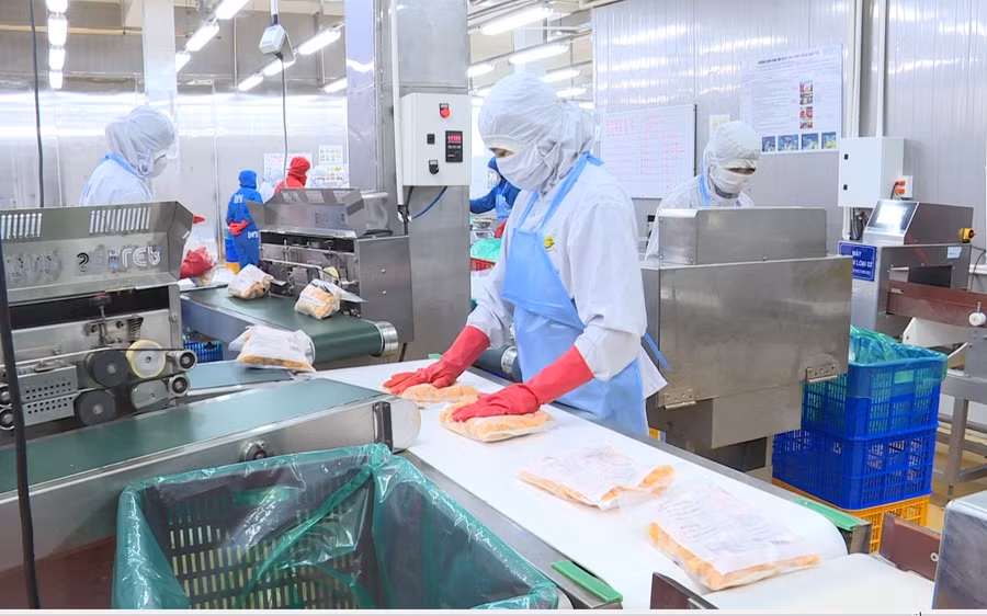 Dây chuyền chế biến nông sản của Công ty CP Viên Sơn Dây chuyền chế biến nông sản của Công ty CP Viên Sơn