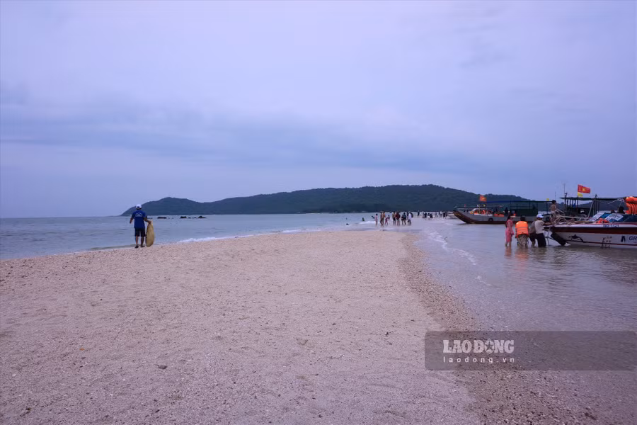 Ngoài đường cát đảo Thanh Lân còn có đường cát thuộc đảo Cá Chép - một đảo nhỏ, nằm ngay sau Cô Tô con, chếch phía Đông Bắc xã Đồng Tiến. Từ cảng Bắc Vàn tới hòn Cá Chép không xa, chỉ chừng 2 km. Ảnh: Lương Hà