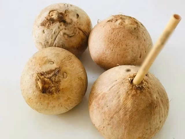 Nước dừa có nhiều lợi ích. Ảnh: LÊ CẦM