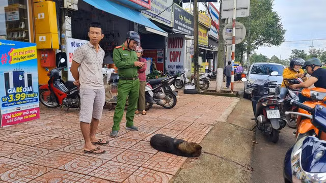 Ngày 14.9, lực lượng chức năng đã tiêu diệt con chó béc-giê cắn người. Ảnh:CTV