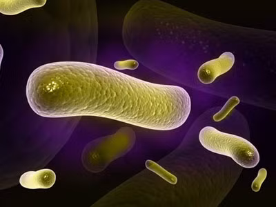 Probiotic có trong Kombucha có thể giúp bạn tránh được một số bệnh lý đường tiêu hóa. Ảnh: Shutterstock