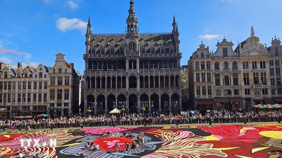 Thảm hoa Brussels 2024. (Ảnh: Duy Tùng/TTXVN) Thảm hoa Brussels 2024. (Ảnh: Duy Tùng/TTXVN)