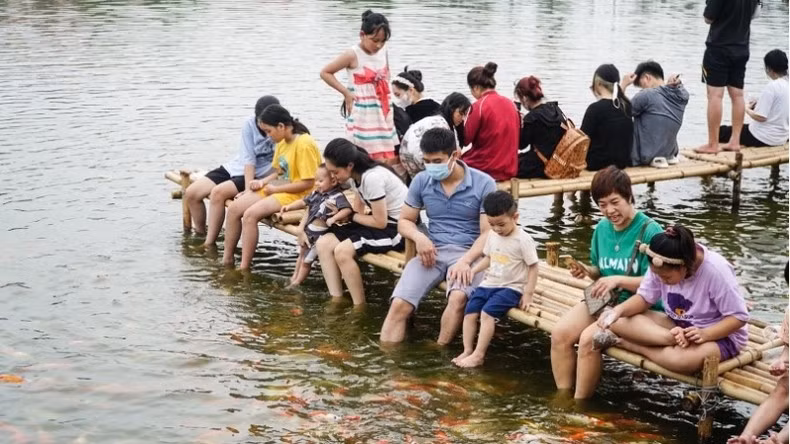 Trong các buổi chiều mát, rất đông người dân, du khách đã đến với phố Quảng Bá để chiêm ngưỡng cá Koi và trải nghiệm cho cá koi ăn. Trong các buổi chiều mát, rất đông người dân, du khách đã đến với phố Quảng Bá để chiêm ngưỡng cá Koi và trải nghiệm cho cá koi ăn.