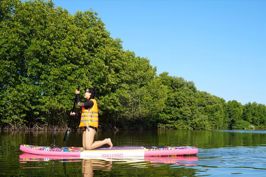 Du khách chèo SUP khám phá thiên nhiên. Không chỉ có chèo SUP, đến với Cồn Chim, du khách còn được trải nghiệm cuộc sống của người dân địa phương từ các món ăn đặc trưng như bánh xèo tôm nhảy, lẩu cua đến các hoạt động giăng lưới đánh cá, soi cua đêm.