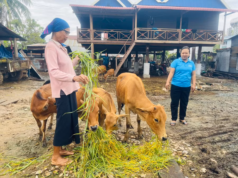 Cán bộ Hội Liên hiệp phụ nữ xã Chư Băh thường xuyên xuống các gia đình hội viên vay vốn ưu đãi hướng dẫn cách thức trồng trọt, chăn nuôi. Ảnh: V.C