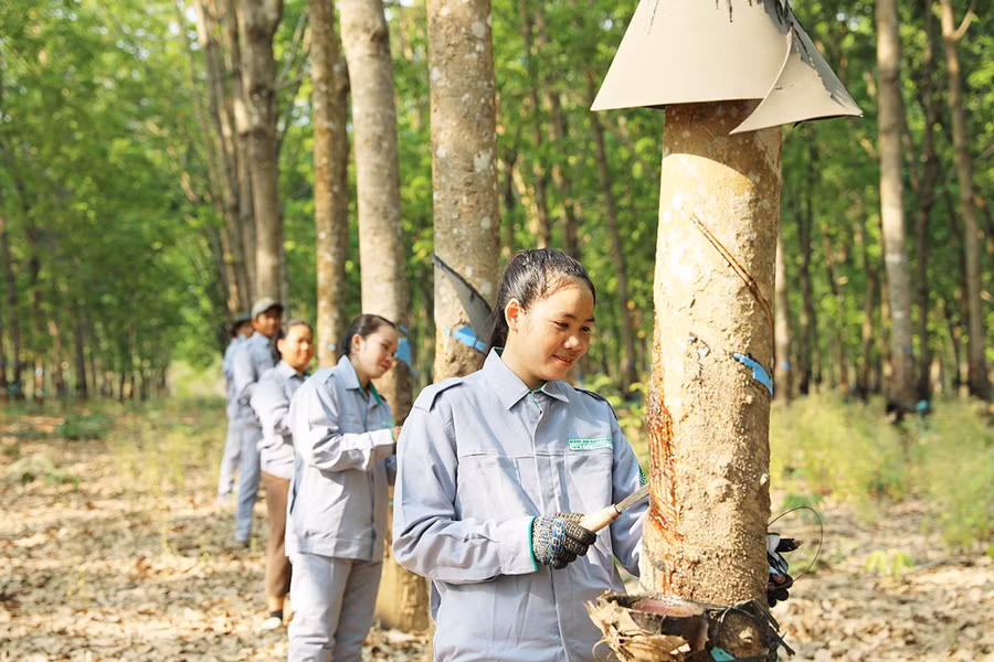 THACO AGRI đẩy mạnh tuyển dụng công nhân tại các địa phương thuộc Lào, Campuchia.