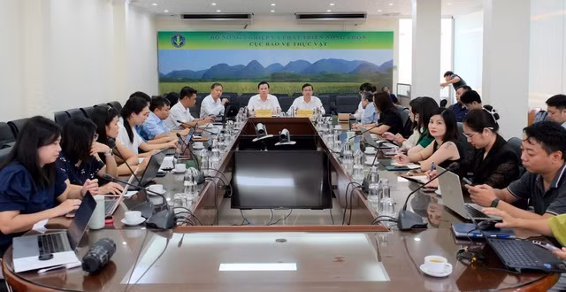 Hội nghị phổ biến quy định xuất khẩu sầu riêng đông lạnh sang thị trường Trung Quốc