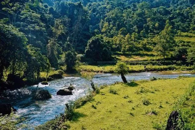 Ảnh Freepik