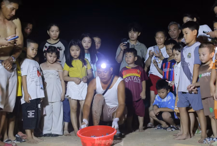 Thả rùa con về biển. Ảnh: Trương Định. Thả rùa con về biển. Ảnh: Trương Định.