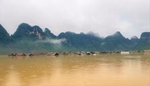 Chuồng chăn nuôi gia súc của người dân đã bị ngập tới mái