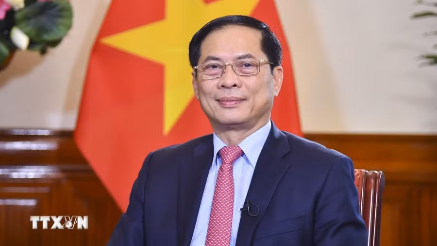 Bộ trưởng Bộ Ngoại giao Bùi Thanh Sơn. (Ảnh: TTXVN phát)