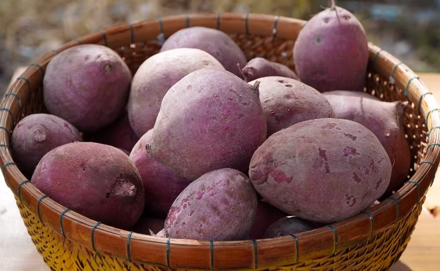 (Ảnh: Nhựt An/TTXVN)