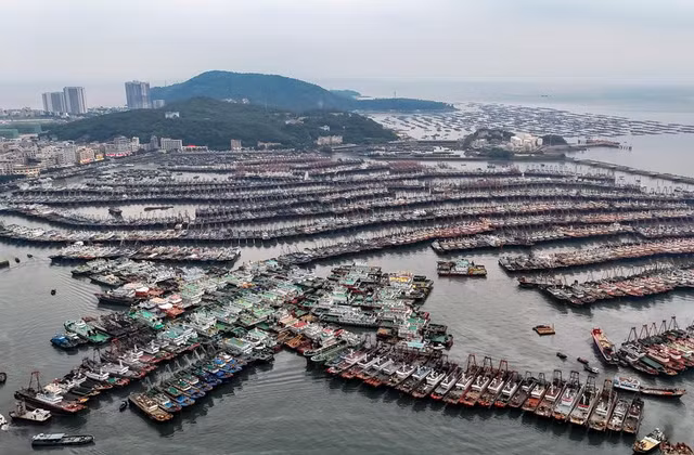 Các tàu đánh cá quay trở lại cảng ở tỉnh Quảng Đông (Trung Quốc) hôm 4-9 tránh bão. Ảnh: Tân Hoa Xã