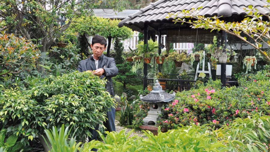 Nhiều tiểu cảnh, khuôn viên đẹp được người Đà Lạt trồng, chăm sóc bằng tình yêu thiên nhiên