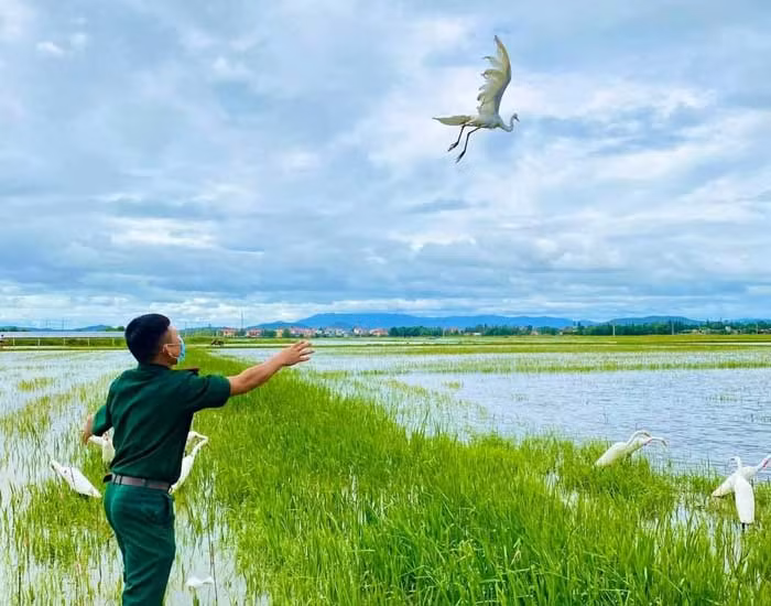 Thả chim trời bị bẫy bắt về với tự nhiên.