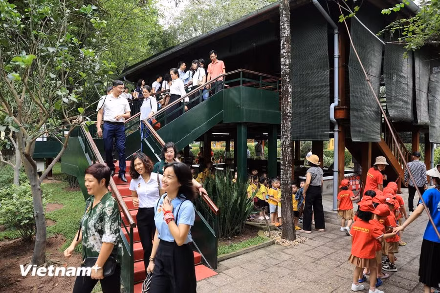 (Ảnh: Vietnam+) (Ảnh: Vietnam+)