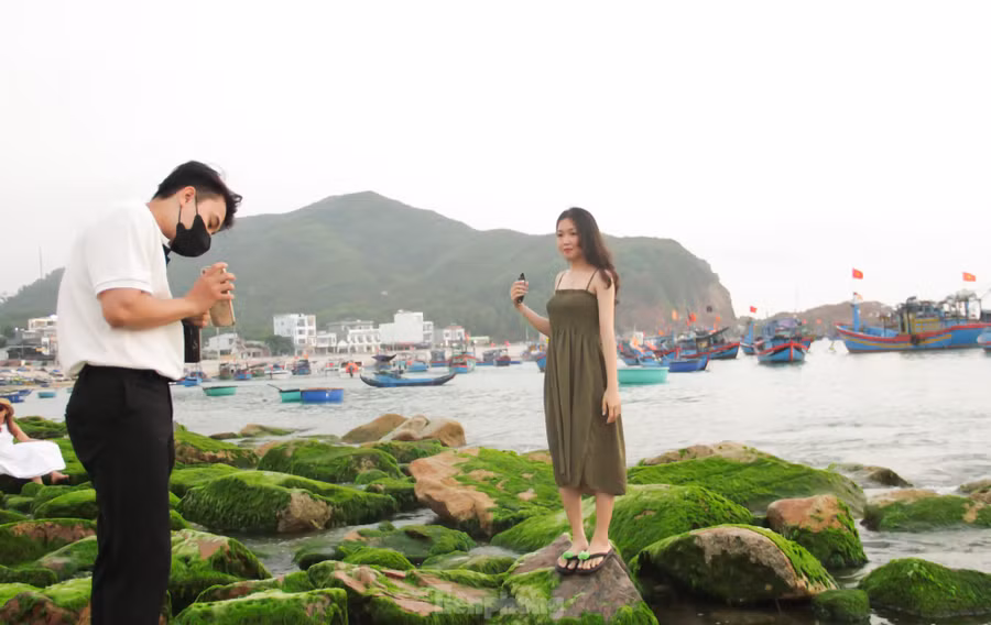 “Đẹp đến mức khó biết phải diễn tả như thế nào” – đó là chia sẻ ngắn gọn của bạn Huỳnh Hóa khi thủy triều vừa rút để lộ ra những phiến đá phủ đầy rêu xanh. Ảnh: Trương Định “Đẹp đến mức khó biết phải diễn tả như thế nào” – đó là chia sẻ ngắn gọn của bạn Huỳnh Hóa khi thủy triều vừa rút để lộ ra những phiến đá phủ đầy rêu xanh. Ảnh: Trương Định