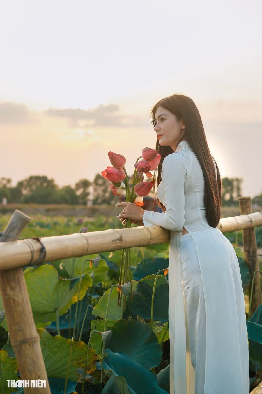 Xế chiều là thời điểm đẹp nhất tại đầm sen làng Tả Phan. Ảnh: Bá Cường