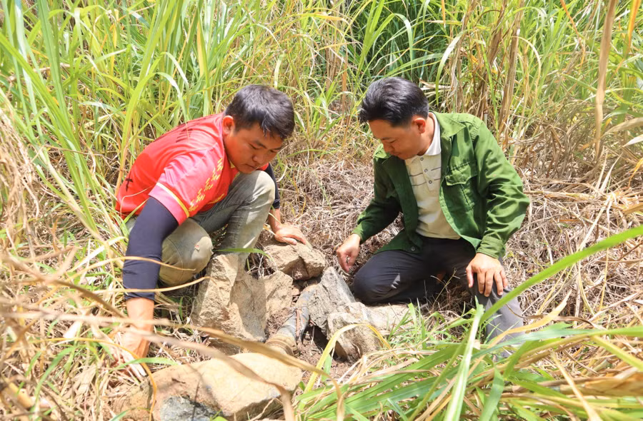 Người dân thôn 5, xã Cư San (huyện M'Drắk) kiểm tra đường ống dẫn nước từ đỉnh núi Cư Tông về làng.