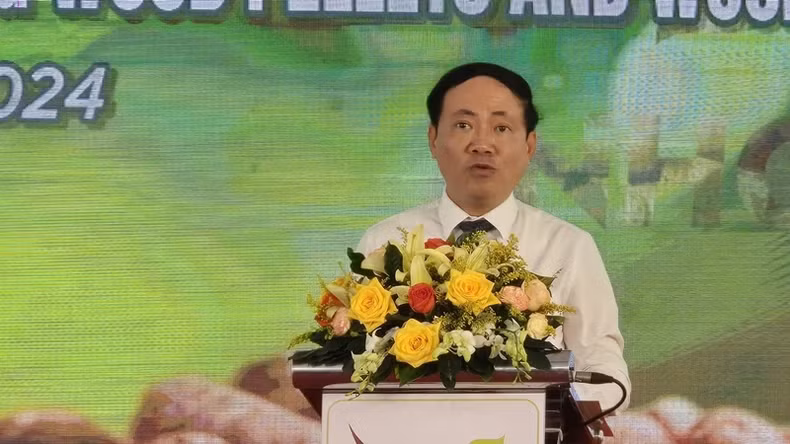 Chủ tịch Ủy ban nhân dân tỉnh Bình Định Phạm Anh Tuấn phát biểu tại buổi lễ.