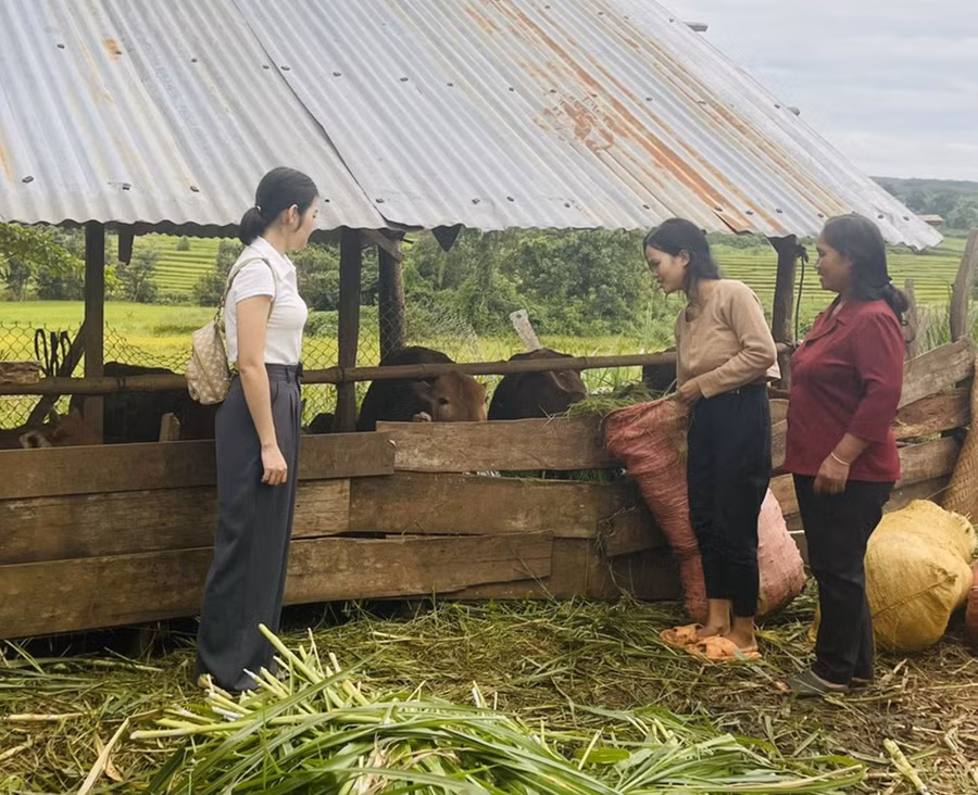 Nhờ Hội LHPN xã Ia Hrú trích nguồn quỹ mô hình “3 biết, 2 hỗ trợ” hỗ trợ bò sinh sản, đời sống gia đình chị Rmah H'Thiêng (đứng giữa, làng Tao Chor) đã vơi bớt khó khăn. Ảnh: Q.T