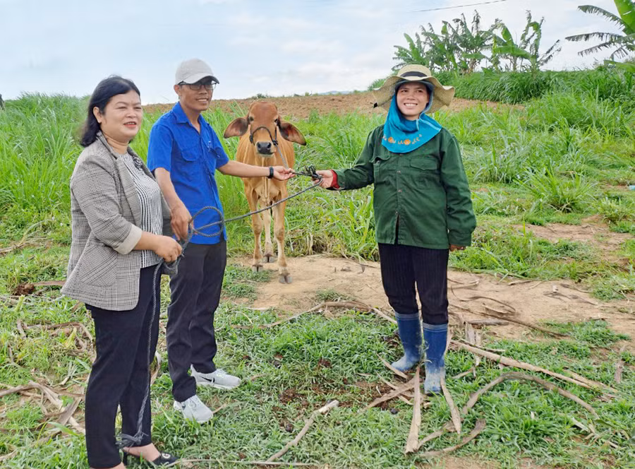 Huyện Đak Pơ chú trọng hỗ trợ sinh kế giúp hộ nghèo vươn lên trong cuộc sống. Ảnh: H.P Huyện Đak Pơ chú trọng hỗ trợ sinh kế giúp hộ nghèo vươn lên trong cuộc sống. Ảnh: H.P