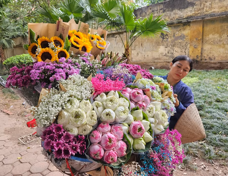 Hoa được chăm chút để cho thuê đắt hàng. Ảnh: NT TÂM