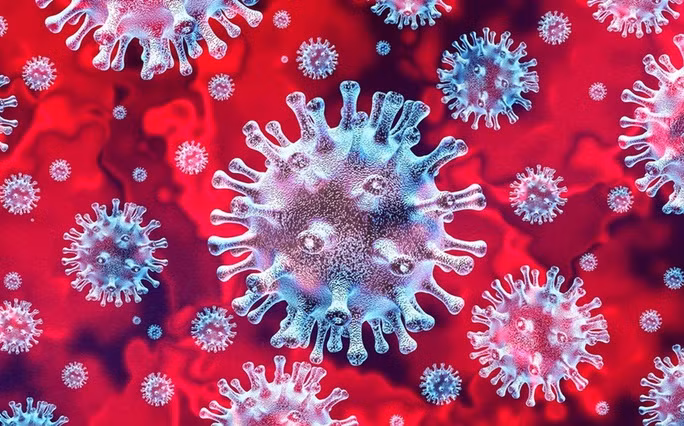 Virus SARS-CoV-2 - Ảnh minh họa từ Internet Virus SARS-CoV-2 - Ảnh minh họa từ Internet