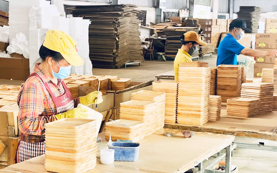 Gia Lai có tiềm năng lớn để phát triển ngành công nghiệp chế biến gỗ. Ảnh: Vũ Thảo