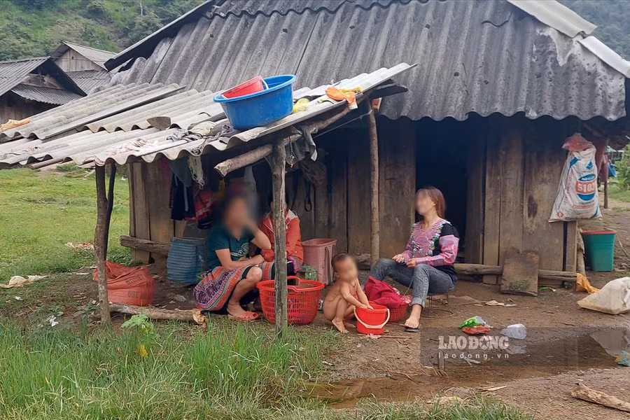 Ngôi nhà lụp xụp của gia đình D. Ngôi nhà lụp xụp của gia đình D.