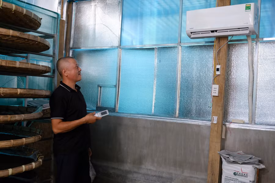Nhiệt độ và độ ẩm trong nhà tằm được điều chỉnh cho phù hợp với con tằm