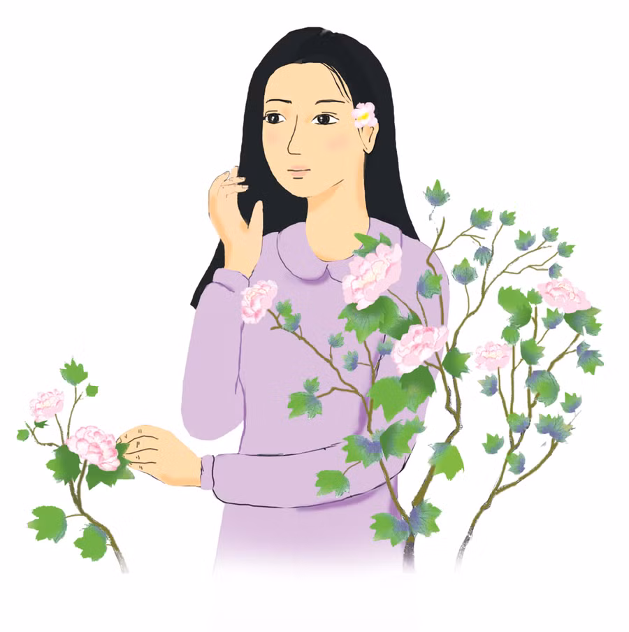Minh họa: H.T