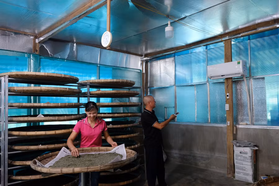 Nông dân Đạ Pal có nhiều kinh nghiệm với nghề truyền thống có giống dâu tốt, giống tằm ổn định nhưng khí hậu có thời điểm lại khắc nghiệt, ảnh hưởng đến chất lượng kén tằm