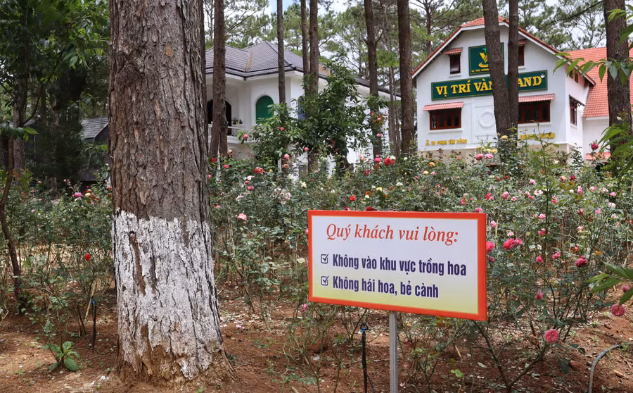 Nhiều cơ sở kinh doanh dịch vụ du lịch ở Măng Đen trồng nhiều hoa, cây cảnh để thu hút du khách. Ảnh: CC