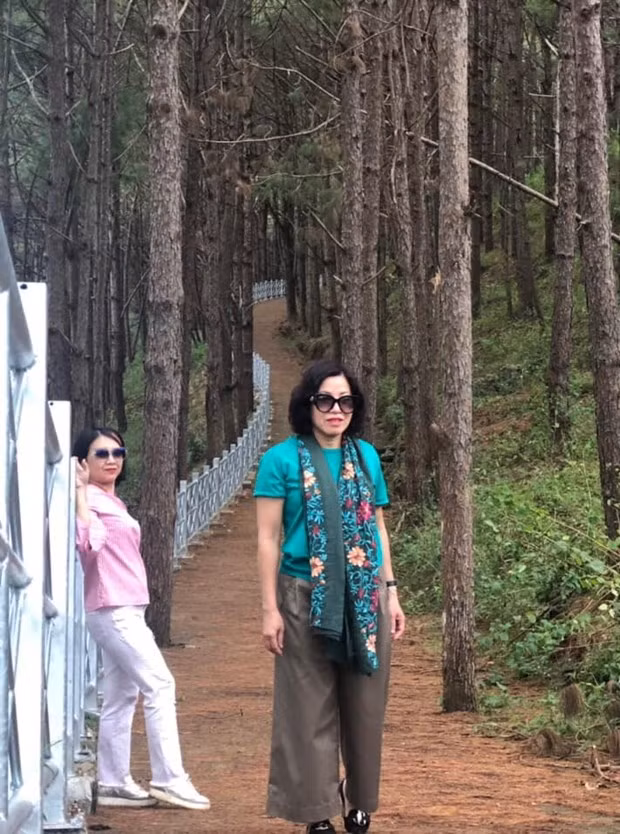 Con đường xuống Biển Hồ uốn lượn đẹp như tranh vẽ, hai bên ngút ngàn thông xanh mát mắt. (Ảnh: Hồng Hạnh/Vietnam+)