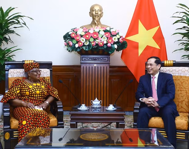 Bộ trưởng Ngoại giao Bùi Thanh Sơn tiếp Tổng Giám đốc Tổ chức Thương mại thế giới (WTO) Ngozi Okonjo-Iweala. (Ảnh: Lâm Khánh/TTXVN)