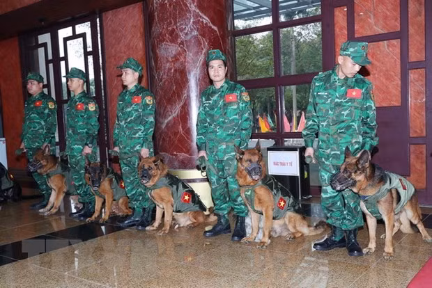 Đội chó nghiệp vụ làm công tác cứu hộ, cứu nạn của lực lượng Bộ đội Biên phòng sẵn sàng lên đường. (Ảnh: Trọng Đức/TTXVN)