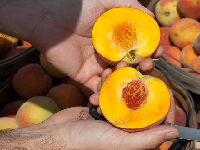 Trái đào chứa beta-carotene, một loại chất chống oxy hóa rất cần thiết cho sức khỏe tim