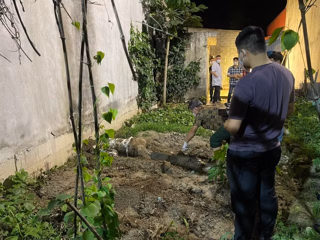 Lực lượng chức năng khai quật nơi Lê Phong T. chôn thi thể nạn nhân, phi tang trong vườn nhà. Lực lượng chức năng khai quật nơi Lê Phong T. chôn thi thể nạn nhân, phi tang trong vườn nhà.