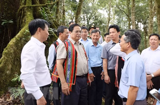 Thủ tướng Phạm Minh Chính khảo sát vườn sâm Ngọc Linh ở xã Măng Ri, huyện Tu Mơ Rông, tỉnh Kon Tum. (Ảnh: Dương Giang/TTXVN)