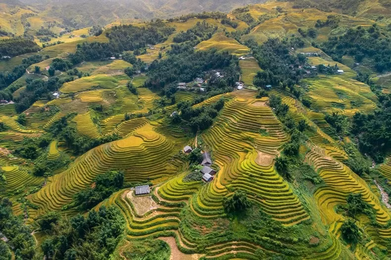 Sa Pa là một điểm đến hàng đầu châu Á không thể bỏ lỡ vào mùa thu. (Ảnh: The Travel)